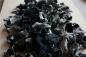 Mobile Preview: Mu Err/Black Fungus getrocknet 50g (Auricularia sambucina)