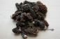 Preview: Morcheln getrocknet 500g (Morchella conica/esculenta)